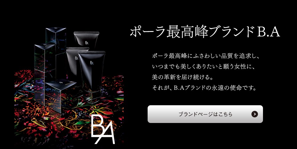 b.a プロテクター